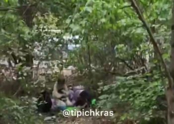 В кустах в Краснодаре заметили ребенка со спящей матерью