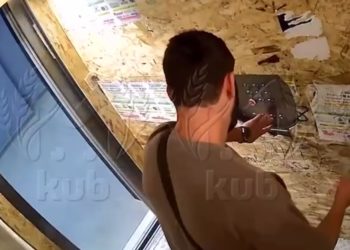 В Краснодаре мужчина избил щенка и попал на видео