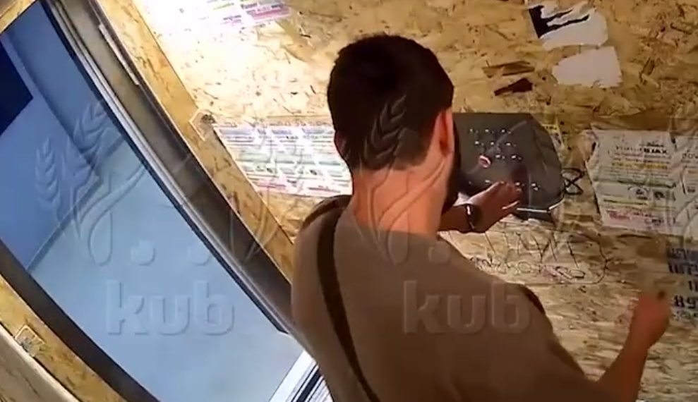 В Краснодаре мужчина избил щенка и попал на видео