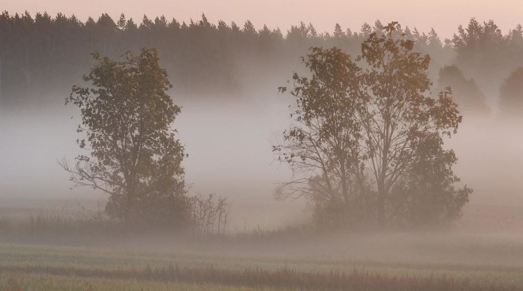 В Краснодарском крае воскресенье будет туманным и ветреным