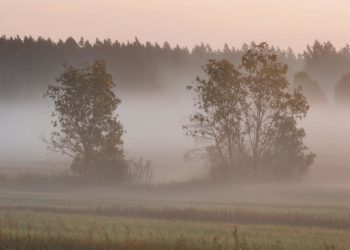 В Краснодарском крае воскресенье будет туманным и ветреным