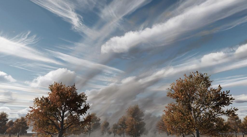 Шквалистый ветер в Краснодаре повреждает деревья и провоцирует новые пожары