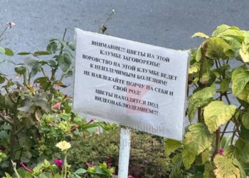 В центре Краснодара появилась клумба с заговоренными цветами