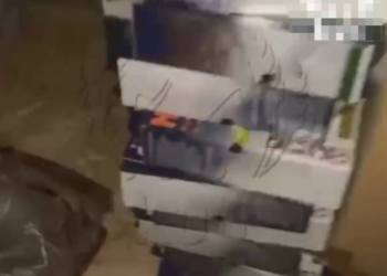 Полный список вещей, найденных у экс-замгубернатора Кубани Власова при обыске