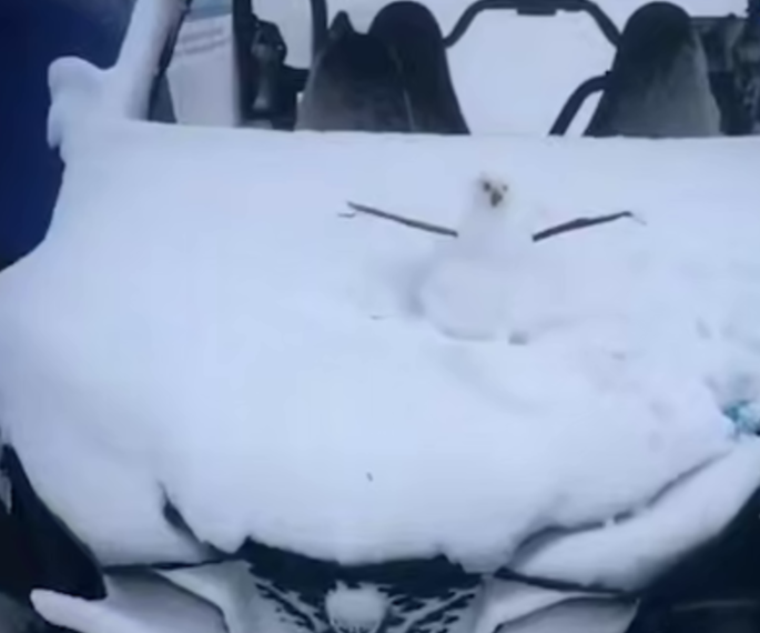 Контрастная погода в Сочи: села под водой, а в Красной Поляне — снежная зима