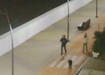 По набережной в Сириусе горожане прогуливаются под залпы ПВО ночью 17 октября