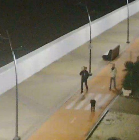 По набережной в Сириусе горожане прогуливаются под залпы ПВО ночью 17 октября