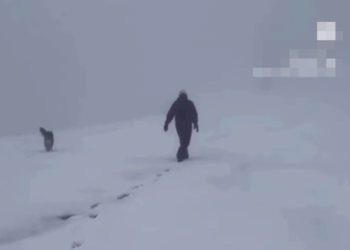 Снежный рекорд в Сочи: в октябре на «Роза Хутор» лег полуметровый слой снега