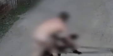 «Пересолил грядки?»: в Краснодаре голый дачник размахивал мотыгой в чужом дворе