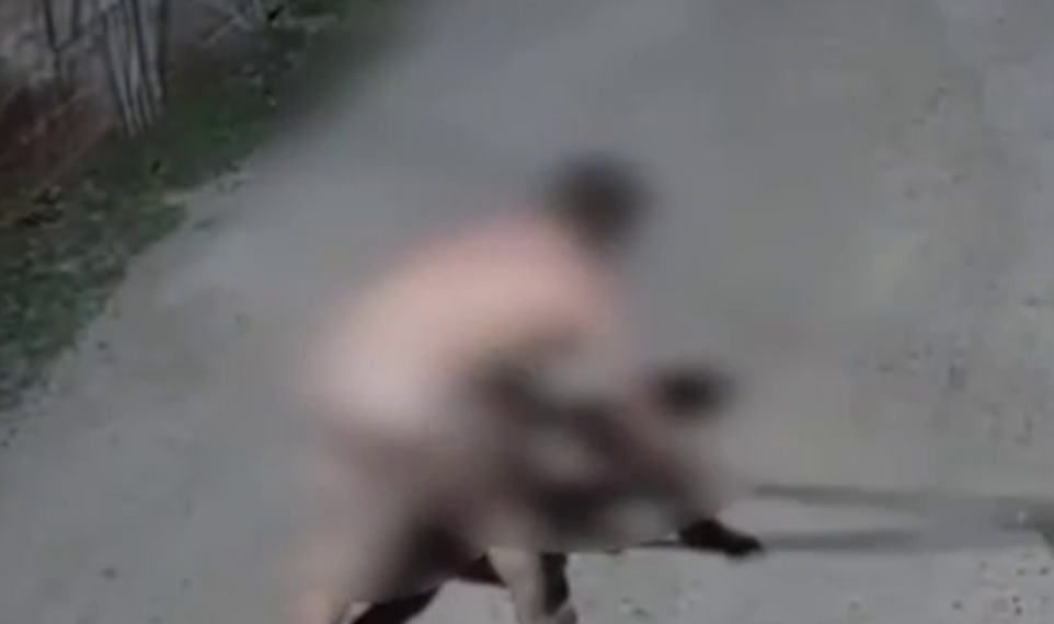 «Пересолил грядки?»: в Краснодаре голый дачник размахивал мотыгой в чужом дворе