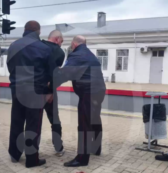 Буйного пассажира сняли с «Ласточки» на станции в Сочи