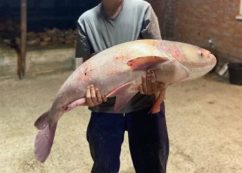 На Кубани подросток поймал 19-килограммового толстолобика