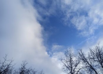 “Ноябрь и декабрь на Кубани будут аномальными”. Синоптики сказали, что придет