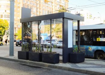 Виноград вместо урн: краснодарцы раскритиковали новое озеленение остановок