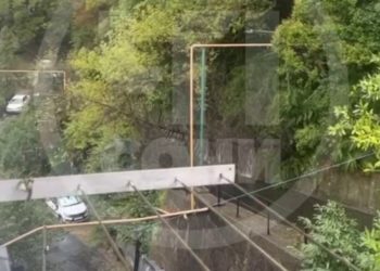 В сочинской Хосте упавшее дерево перекрыло дорогу