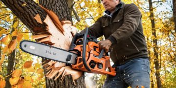 Штраф за вырубку редких деревьев для бизнес-леди из Сочи вырос до 10 миллионов