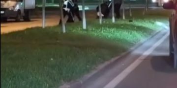 В Краснодаре сотрудники ДПС разнимали дерущихся мужчин