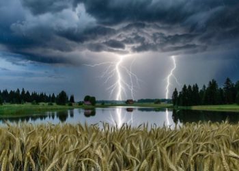 Погодный хаос на Кубани: сильнейшие дожди и грозы