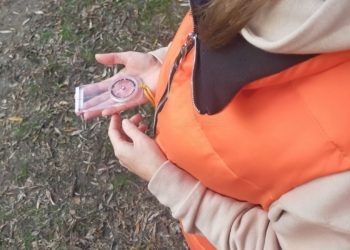 На Кубани завершены поиски не вернувшегося с прогулки 6-летнего мальчика