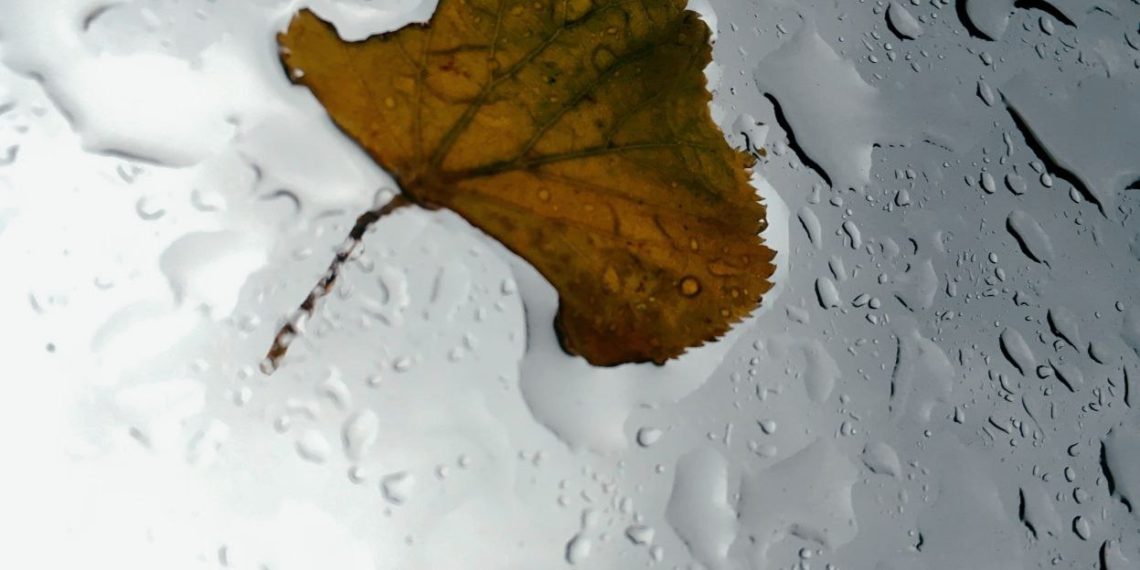 Синоптики рассказали о погоде в Краснодарском крае на предстоящую пятницу