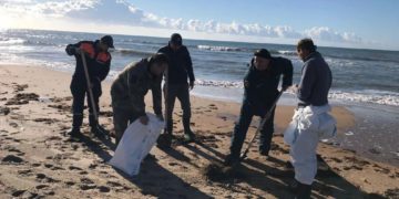 В Темрюкском районе Кубани обнаружили выбросы нефтепродуктов