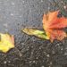 Сложная погодная обстановка ожидается на Кубани в начале недели