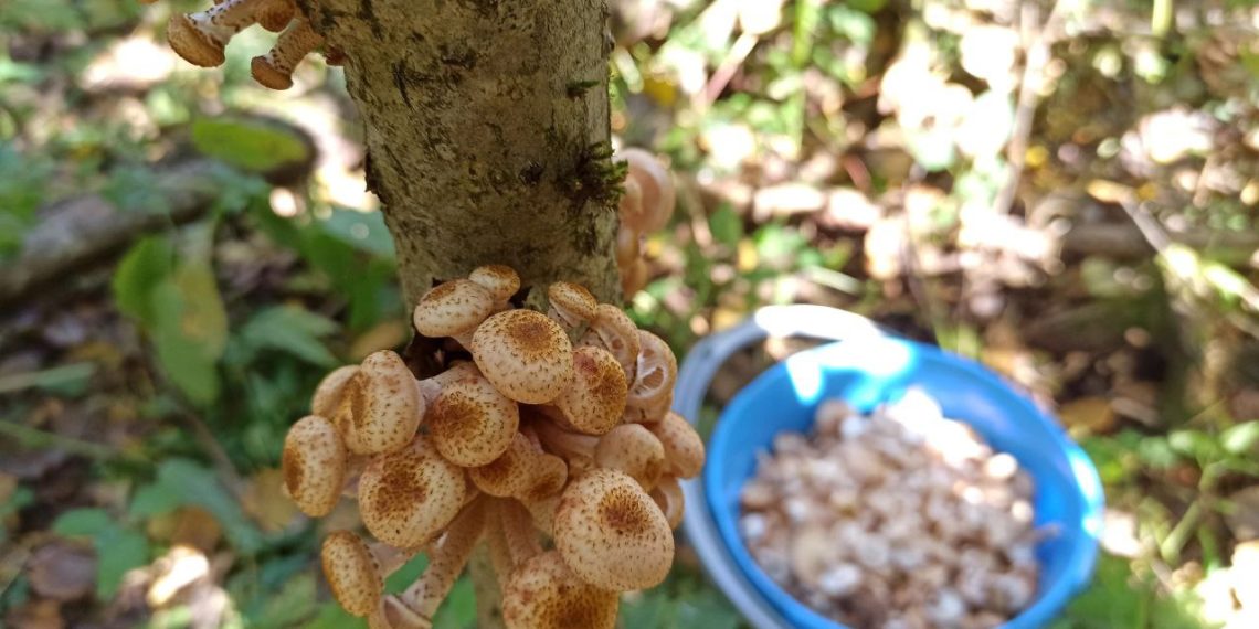 Капризная погода ждет жителей Кубани в середине недели