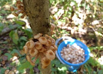 Капризная погода ждет жителей Кубани в середине недели