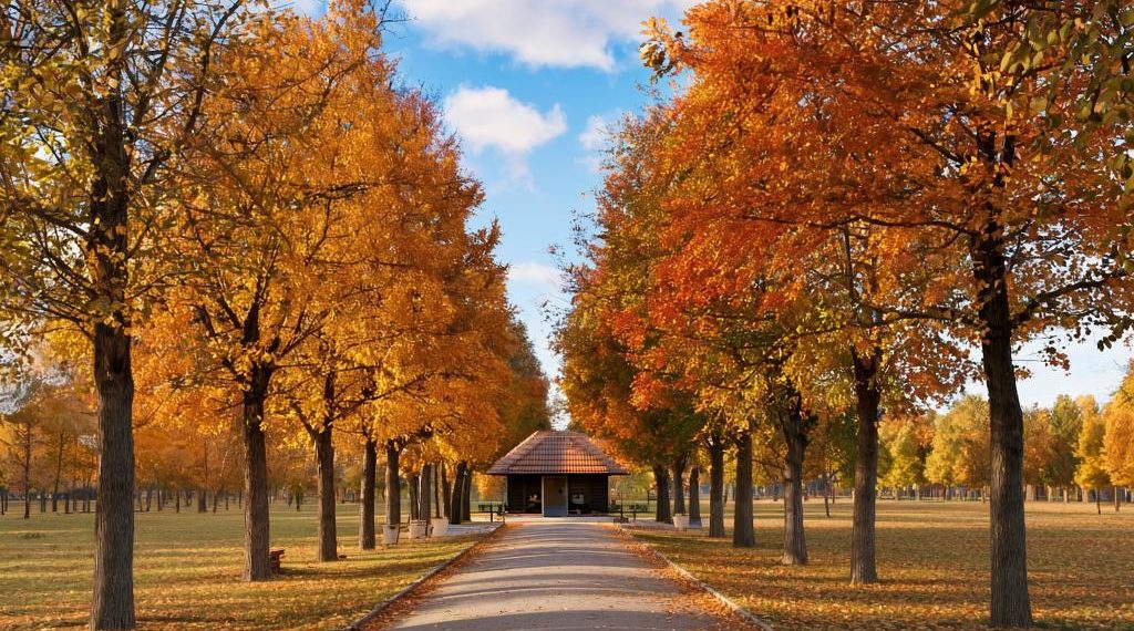 Опубликован прогноз погоды на начало ноября в Краснодарском крае