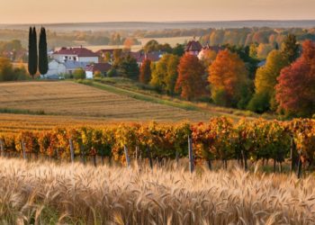 Прогноз погоды на 31 октября и 1 ноября в Краснодарском крае