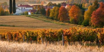 Прогноз погоды на 31 октября и 1 ноября в Краснодарском крае