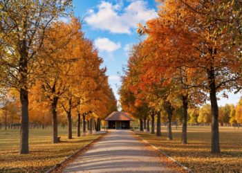 Опубликован прогноз погоды на начало ноября в Краснодарском крае