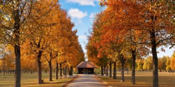 Опубликован прогноз погоды на начало ноября в Краснодарском крае