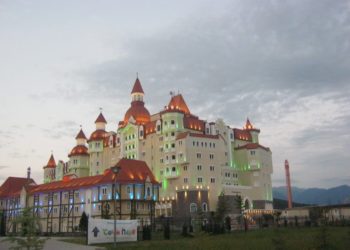 Туристка покинула Сочи с собакой из-за ограничений на пляжах и агрессии местных