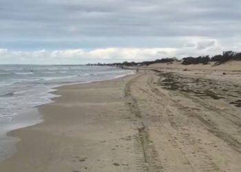 По пляжу в Анапе разгуливал голый мужчина