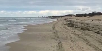 По пляжу в Анапе разгуливал голый мужчина