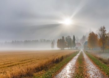 Бабье лето отступает: в Краснодарском крае прогнозируют похолодание и осадки