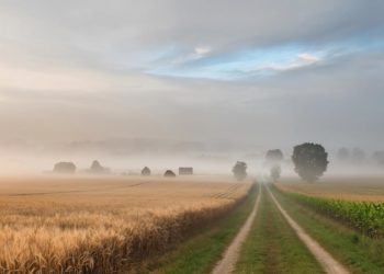 Без осадков, но с туманами: какими будут пятница и суббота на Кубани