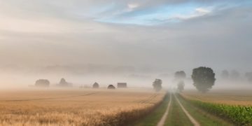 Без осадков, но с туманами: какими будут пятница и суббота на Кубани