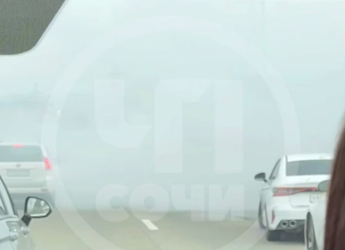 В Сочи брачующиеся устроили «танцы» на асфальте, оставив город в пробке