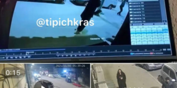 После скандального видео с флагами РФ в Краснодаре стартовала проверка