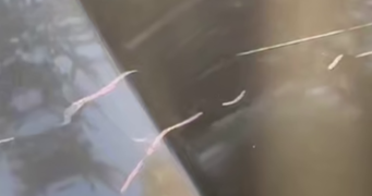 В Адлере неизвестная разбрызгивает едкое вещество на припаркованные машины