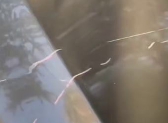 В Адлере неизвестная разбрызгивает едкое вещество на припаркованные машины