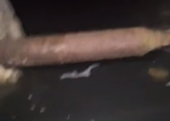 В Сочи подвал многоэтажки превратился в рассадник опасностей