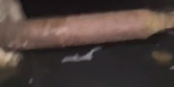 В Сочи подвал многоэтажки превратился в рассадник опасностей