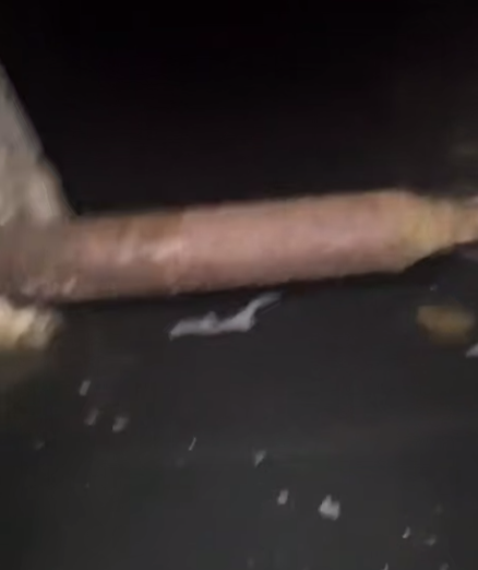 В Сочи подвал многоэтажки превратился в рассадник опасностей