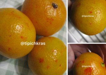 Краснодарцы обнаружили в продаже искусственно окрашенные мандарины