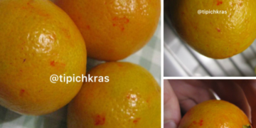 Краснодарцы обнаружили в продаже искусственно окрашенные мандарины