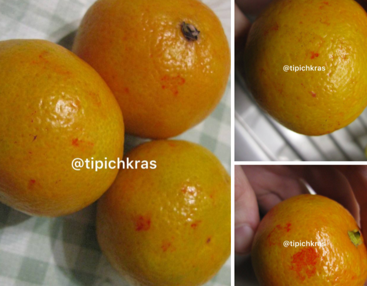 Краснодарцы обнаружили в продаже искусственно окрашенные мандарины