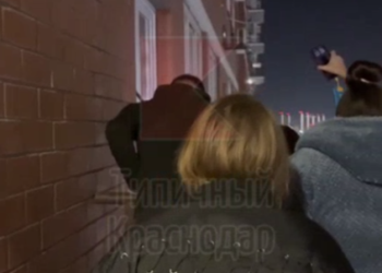 В Краснодаре 5 сутки собака и кошка ждут помощи в квартире с пропавшим хозяином